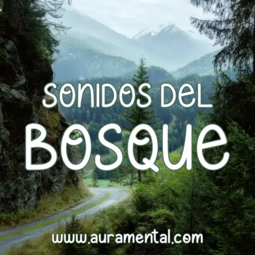 Sonidos del Bosque — Audio Para Relajación, Meditación, Concentración, Dormir